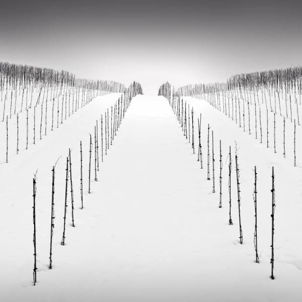 Photograph Uwe Langmann Rhythm I on One Eyeland